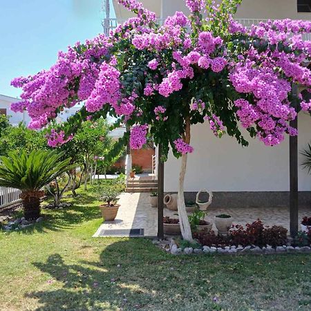 Vila Adriatik Ulcinj Bagian luar foto