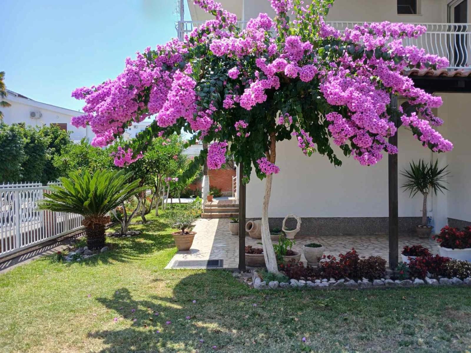 Vila Adriatik Ulcinj Bagian luar foto