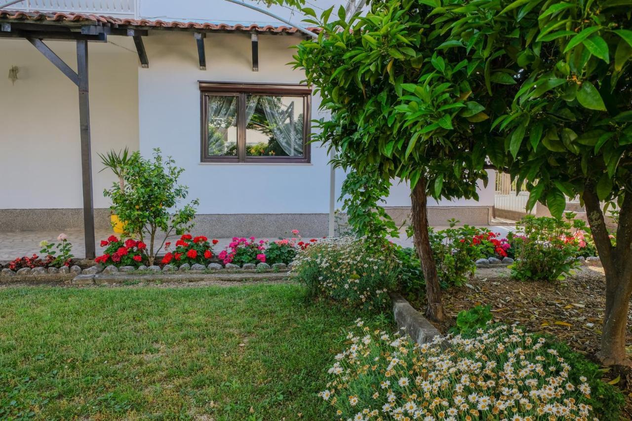 Vila Adriatik Ulcinj Bagian luar foto